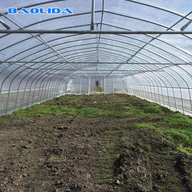 Agricultural High Hoop Tent Greenhouse Steel Frame For Tomato Growth