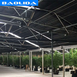 Plastic Automated Blackout Light Deprivation Greenhouse Single Span Agricultural