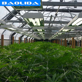 Advanced Automated Blackout Greenhouse Full Auto Light Deprivation Hemp Growing