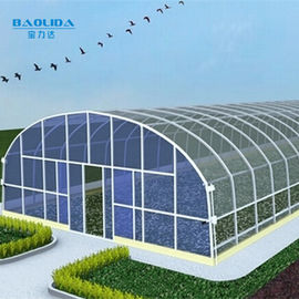 Standard Film Tunnel Plastic Greenhouse Simple Frame Agricultural ISO9001