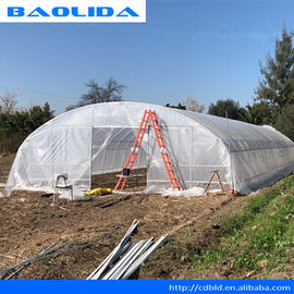 Standard Film Tunnel Plastic Greenhouse Simple Frame Agricultural ISO9001