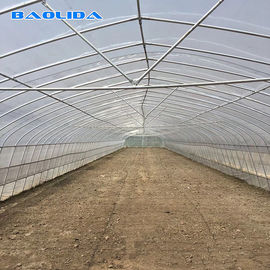 Single Span Plastic Tunnel Greenhouse / windproof Poly Greenhouse Farming
