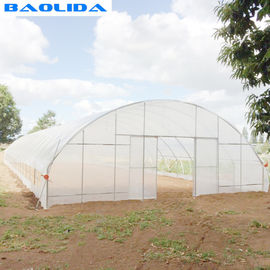 Modern Tunnel Plastic Greenhouse For Tropical Climate Plastic Covering