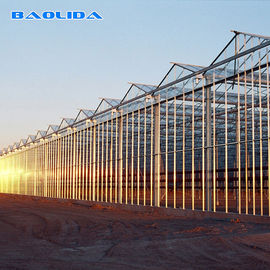 High Venlo Type Greenhouse Strong Commercial Multi Span Glass Covered