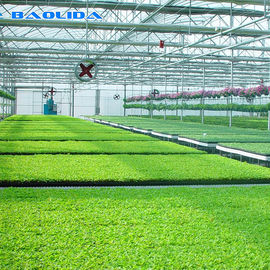 Plant Nursery Polyethylene Film Greenhouse Kit / Farm Tech Greenhouses