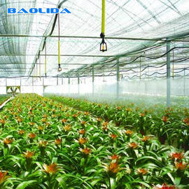Prefabricated Tomatoes Tunnel Plastic Greenhouse / Film Multi Span Greenhouse