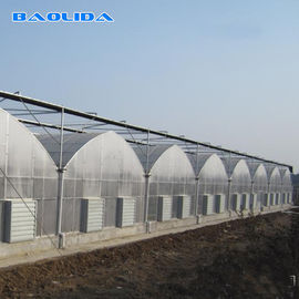 Multi Span Frame Plastic Film Greenhouse For Vegetable Agricultural Animal