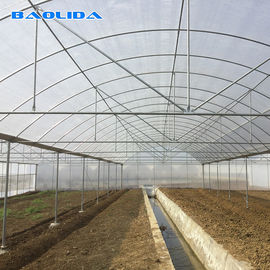 Multi Span Frame Plastic Film Greenhouse For Vegetable Agricultural Animal