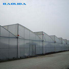 Vegetable Polyethylene Plastic Sheeting Greenhouse Galvanized Steel Frame