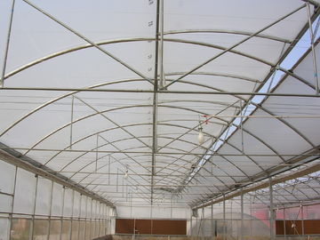 Reinforced Plastic Sheeting Greenhouse For Tropical Climate Prefabricated