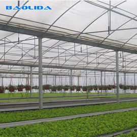 Plastic Shed Multi Span Greenhouse / Agricultural Polythene Grow Tunnel