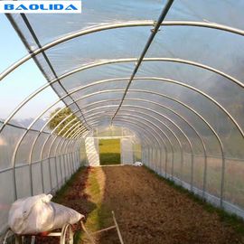 Agricultural Plastic Film Greenhouse Large Size High Latitude Area Ecological