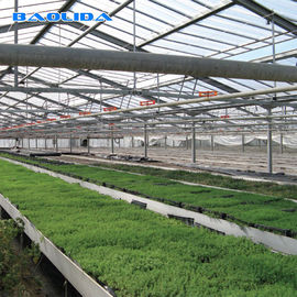Commercial Blackout Polycarbnote Sheet Greenhouse Customized Eco Friendly