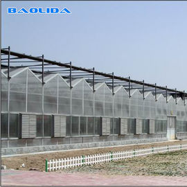 Agricultural Venlo Style Greenhouse Flower Growth Good Waterproof Anti Age