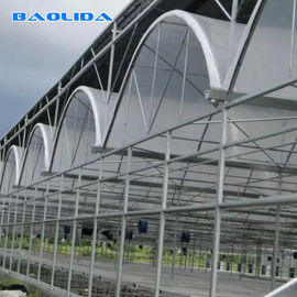 Agricultural Venlo Style Greenhouse Flower Growth Good Waterproof Anti Age