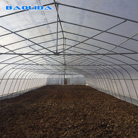 200 Micron Greenhouse Plastic / Pep Film Single Span Solar Tunnel Plastic Greenhouse