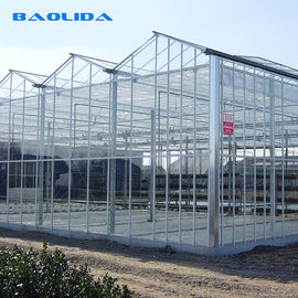 Venlo Type Plastic Tunnel Greenhouse High Strong Structure ISO9001 Certificate