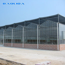 Venlo Type Plastic Tunnel Greenhouse High Strong Structure ISO9001 Certificate