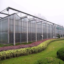 Venlo Type Plastic Tunnel Greenhouse High Strong Structure ISO9001 Certificate