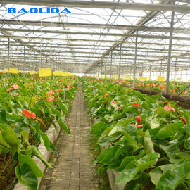 High Tech Intelligent Multi Span Greenhouse With Optional System Vegetables Planting