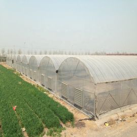 Customized Size Multi Span Greenhouse Agricultural Vegetable Growth Support