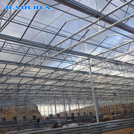 Beautiful Polycarbonate Sheet Greenhouse Plastic With Dome Roof Customized