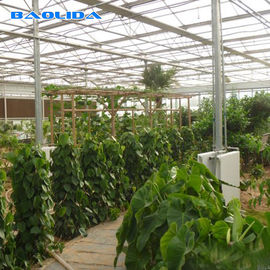 Industrial Multi Span Greenhouse / Pe Film Greenhouse Sheet Covering