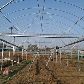 Plastic Shed Multi Span Greenhouse / Multi Span  Agricultural Polytunnel Greenhouse