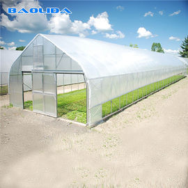 Low Or High Tunnel Plastic Greenhouse Hot Dip Galvanized High Latitude Area