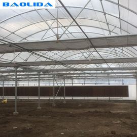 Prefabricated Tomato Tunnel Multi Span Greenhouse Different Vegetables Support