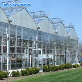 Commercial Glass Covered Venlo Style Greenhouse Anti Corrosion