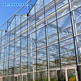 Agricultural Venlo Style Greenhouse Flower Growth Good Waterproof Anti Age