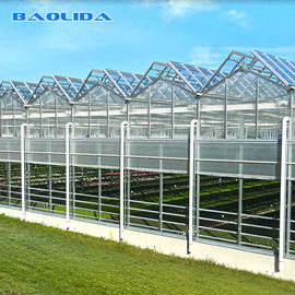 Multi Span Venlo Glass Greenhouse 140mm/H Capacity ISO9001 Certificated
