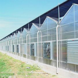 Stability Venlo Type Greenhouse / High Standard Venlo Glasshouse Good Appearance