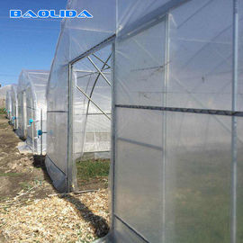 Agricultural Singlespan Tunnel Plastic Film Tropical Greenhouse