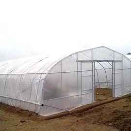 Customized Tunnel Cover Reinforced Clear Greenhouse Plastic Sheeting