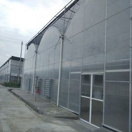 Reinforced Plastic Sheeting Farm Tech Greenhouses For Commercial
