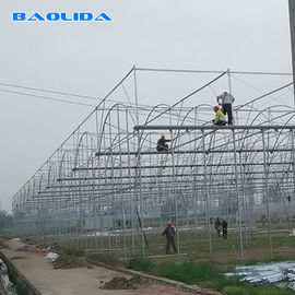 Reinforced Plastic Sheeting Farm Tech Greenhouses For Commercial