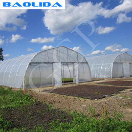 Plastic Sheeting Tunnel Greenhouse UV Resistance Agricultural Greenhouse