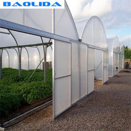 Plastic Sheeting Large Scale Multi Span Greenhouse , Steel Frame Greenhouse