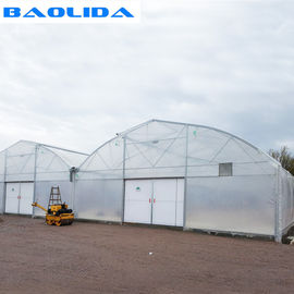 Agriculture Planting Plastic Sheeting Large Scale Steel Frame Greenhouse Multi Span Greenhouse