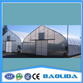 Polyethylene Film Galvanized Steel Structure 6mm Greenhouse Plastic