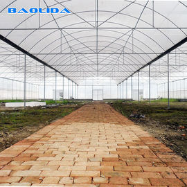 Wind-Resistant High-Quality Crop Growth Plastic Wrap 8 Mil Multi Span Greenhouse