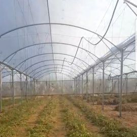 Clear Sheeting Roof Polythene Cover 80 Microns Multi Span Greenhouse