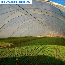 Dome Arch 200 Micron Single-Span Plastic Film Greenhouse Tunnel Plastic