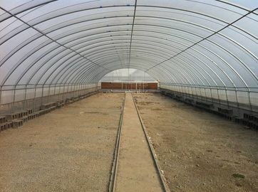 PE Plastic Film Greenhouse With Cooling System For Agriculture