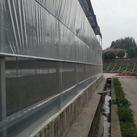 Big Stainless Arch 30mpb Multi Span Greenhouse