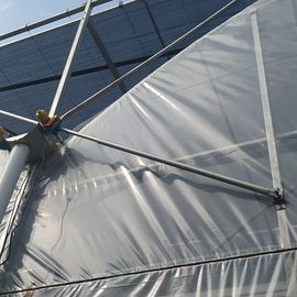 Galvanized Steel Framework Clear PE Film Ventilation System Multi Span Greenhouse
