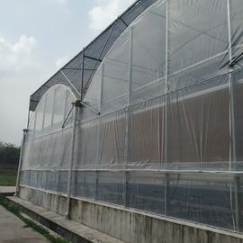 Clear 200 Micron Film Coverd Polycarbonate Greenhouse Kit Multi Span Greenhouse