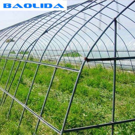 Strawberry Growing Agricultural Single Span 2m Tunnel Plastic Greenhouse